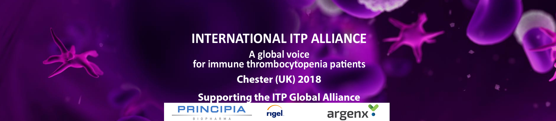 ITP International Global Meeting1